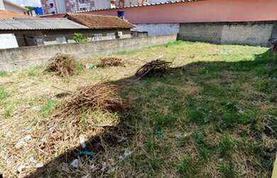 Imagem 3: Lote/Terreno para venda tem 351 metros quadrados em Barreiros - São José...