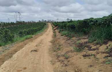 Imagem 15: Sítio com 37,5 hectares, Região de Fazenda Veloso - Ecoporanga ES