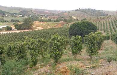Imagem 13: Sítio com 37,5 hectares, Região de Fazenda Veloso - Ecoporanga ES