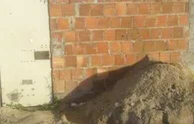 Imagem: O terreno possui 80m² de Área e está localizado em Piratininga