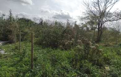 Imagem 3: Vendo terreno 5 x 40 Novo Jockey com escritura