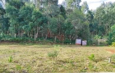 Imagem: O terreno possui 128m² de Área e está localizado em Canela