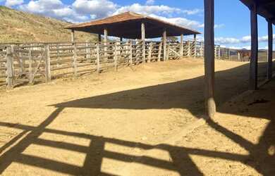 Imagem 11: Fazenda/Sítio/Chácara para venda possui 90 metros quadrados em Canabrava...