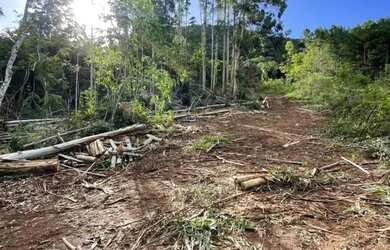 Imagem 7: Área - Bairro Linha São Paulo