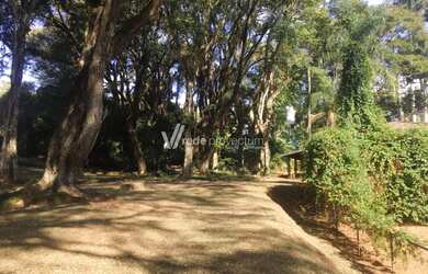 Imagem 6: terreno - Sítios de Recreio Gramado - Campinas