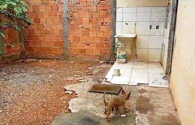 Imagem 2: Vende- se casa no residencial Minas gerais