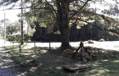 Imagem 3: Terreno - Bairro Parque das Hortênsias