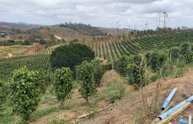 Imagem 12: Sítio com 37,5 hectares, Região de Fazenda Veloso - Ecoporanga ES