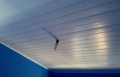 Imagem 3: Alugo uma casa no Jockey Clube