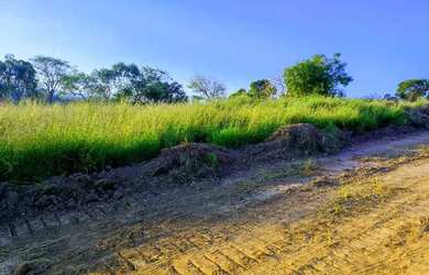 Imagem 14: Lote/Terreno para venda possui 500 metros quadrados em Vila Santista -...