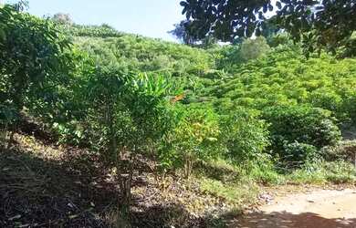 Imagem 2: Sítio Santa Tereza, troco por carro e moto