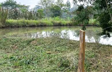 Imagem 3: Chácara com casa e açude no Arroio da Bica, 500m do asfalto (área nobre plana