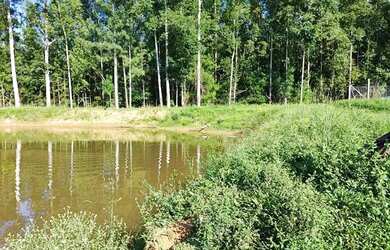 Imagem 2: Chácara com casa e açude no Arroio da Bica, 500m do asfalto (área nobre plana