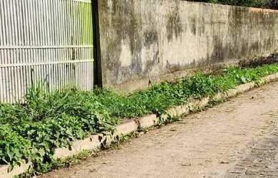 Imagem: O terreno possui 1.665m² de Área e está localizado em Socopo