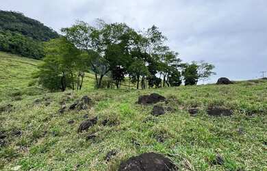 Imagem: O terreno possui 8.000m² de Área e está localizado em Comunidade
