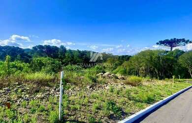 Imagem 3: TERRENO EM LOTEAMENTO PRÓXIMO AO CENTRO DE GRAMADO