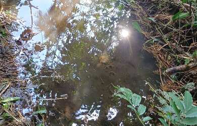 Imagem 14: Terreno para chácara. 58.888m² de Área