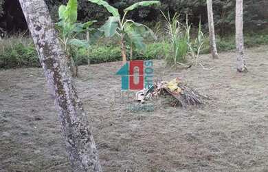 Imagem 10: Santa Cruz Terreno. 3.004m² de Área