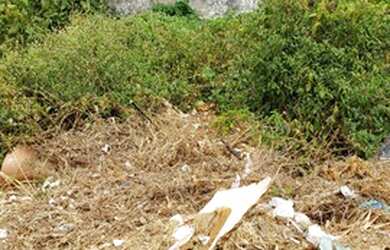 Imagem 4: Siqueira Jatoba. 175m² de Área