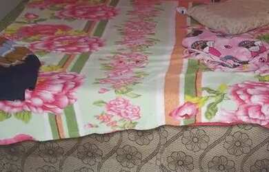 Imagem 5: Vendo uma casa. 1 Vaga na garageme2 Dormitórios