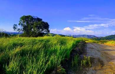 Imagem 15: Lote/Terreno para venda possui 500 metros quadrados em Vila Santista -...