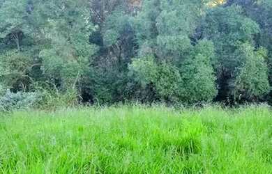 Imagem 12: Lote/Terreno para venda possui 500 metros quadrados em Vila Santista -...