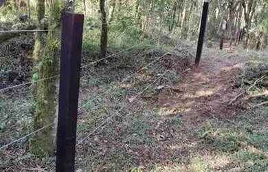 Imagem 4: Terreno ideal para chácara