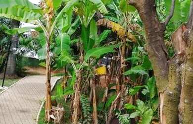 Imagem 4: Maravilhoso Apartamento. 80m² de Área, 2 Vagas na garageme3 Dormitórios