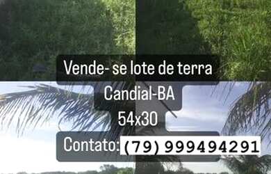 Imagem: O terreno está localizado em Tobias Barreto, SE à venda por