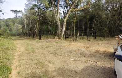 Imagem 2: Terreno ideal para chácara