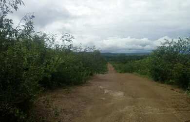Imagem 3: Terreno perto do Rio São Francisco