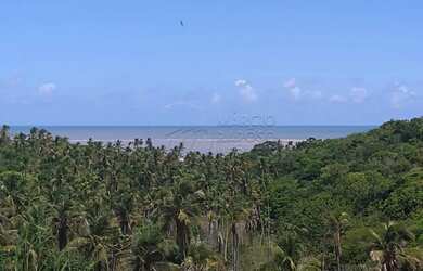 Imagem 13: Terreno 543,26m² - Vista Mar - Reserva Porangatu - Rota dos Milagres