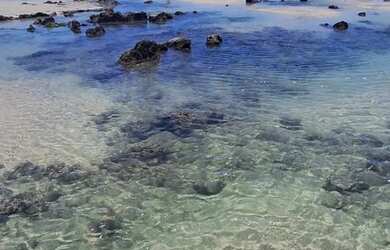 Imagem: A casa possui 4 Dormitórios, Acomodam 12 pessoas, 4 Vagas na