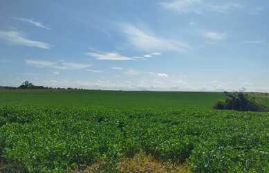 Imagem: A chácara possui 100000m² de Área e está localizado em Doutor