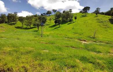 Imagem 12: Fazenda de 57 alqueires. 1m² de Área