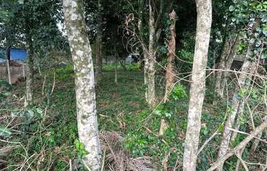 Imagem 3: Terreno à venda em Gramado - Pronto para construir