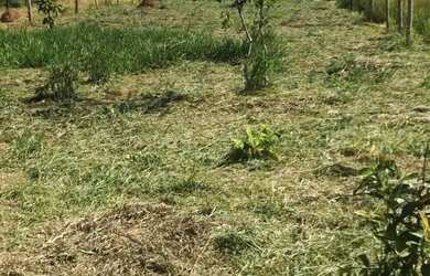 Imagem: A chácara possui 525m² de Área, Direto com o proprietário