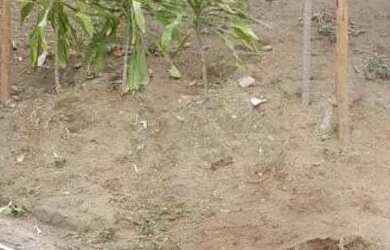 Imagem: O terreno possui 1.000m² de Área e está localizado em Campo