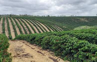 Imagem 4: Sítio com 37,5 hectares, Região de Fazenda Veloso - Ecoporanga ES