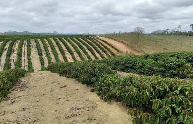 Imagem 9: Sítio com 37,5 hectares, Região de Fazenda Veloso - Ecoporanga ES