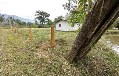 Imagem 5: Chácara com casa e açude no Arroio da Bica, 500m do asfalto (área nobre plana