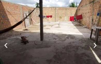 Imagem 5: Vendo e alugo uma casa