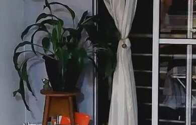 Imagem 15: Apartamento à Venda no Itaum Joinville, 3 Quartos, 77m²