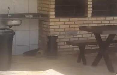 Imagem 8: Alugar - Apartamento em Ponta Negra - 2/4 Suíte - 56m² - Porto Paládio