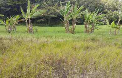 Imagem 5: Sitio à venda. 