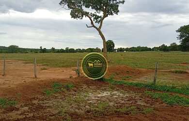 Imagem 9: 197 Alqueires Novo Brasil