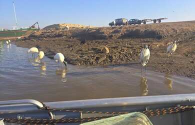 Imagem 13: Rancho em Planura Rio grande