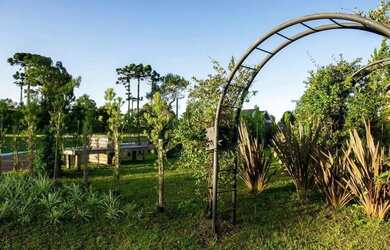 Imagem 13: CAXIAS DO SUL - Terreno Padrão - SÃO CIRO