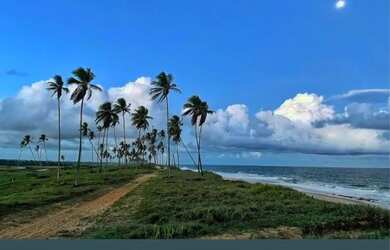 Imagem 5: Casa de Praia Temporada