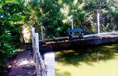 Imagem 15: CHÁCARA SAPUCAIA. 1.500m² de Área